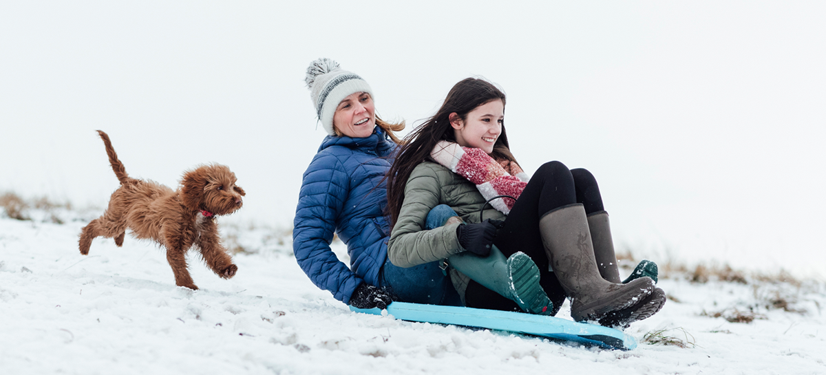 Winter-Sledding.png Sledding in the winter