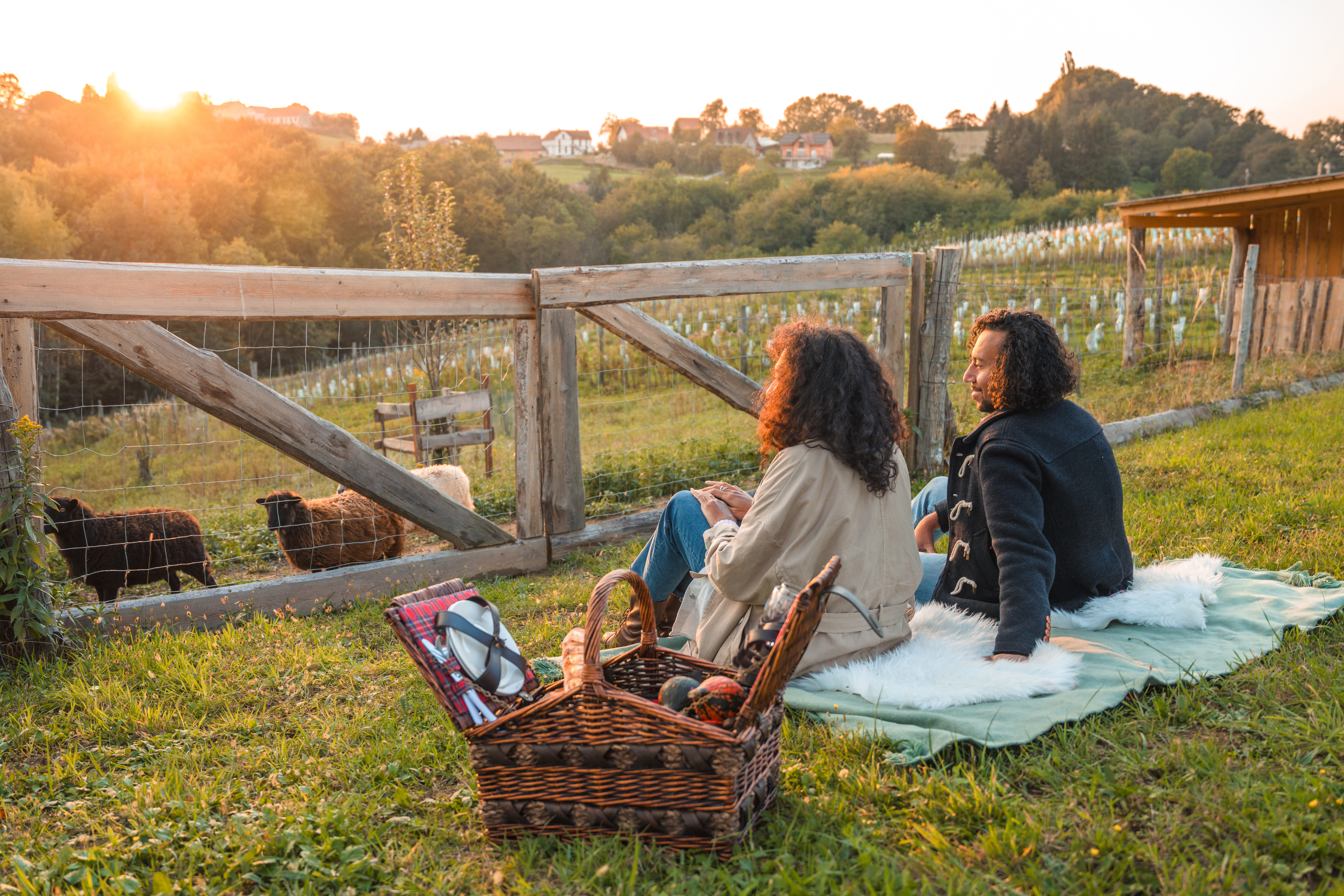 Couple Having A Picnic In Nature.jpg Couple Having A Picnic In Nature