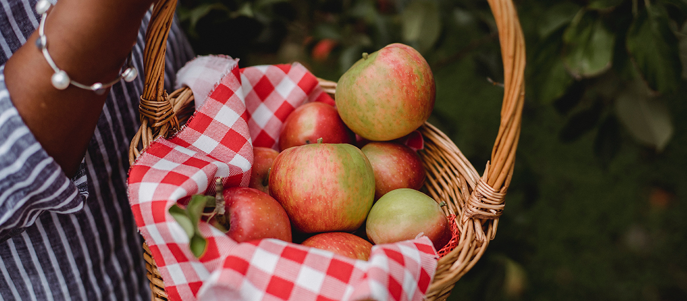 basket of apples