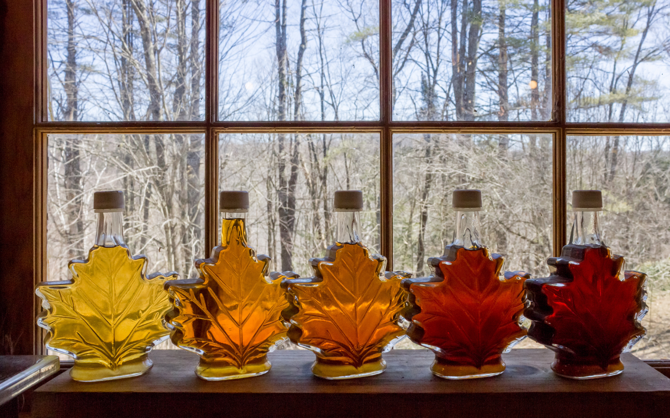 five maple leaf shaped bottles of maple syrup in front of a window