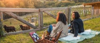 Couple Having A Picnic In Nature