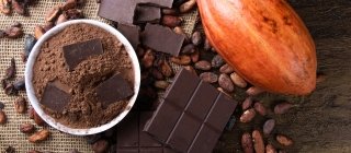 Cocoa powder, dark chocolate and cacao bean