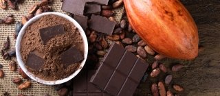 Cocoa powder, dark chocolate and cacao bean