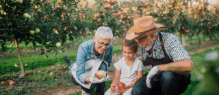 Grandparents and grandchild apple picking