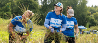 employees volunteering at the intervale in burlington