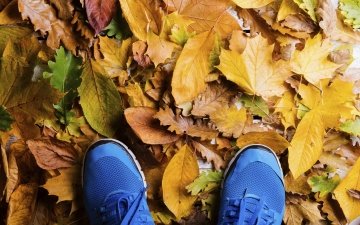 Fall Activities in Vermont