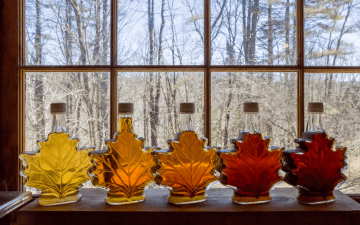 five maple leaf shaped bottles of maple syrup in front of a window