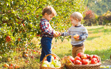 Two children in an apple orchard