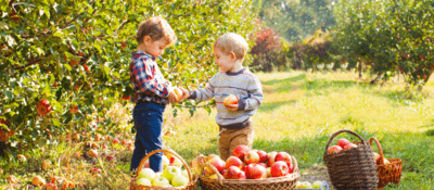 Two children in an apple orchard