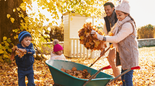 family raking leaves and placing them in a wheel barrow