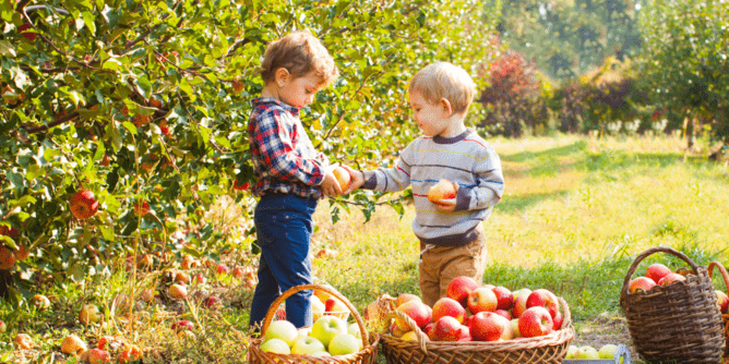 Two children in an apple orchard