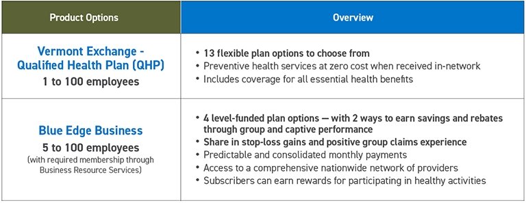 Chart show Blue Cross VT small group plan options