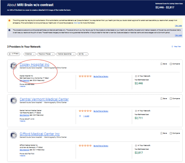 Screenshot of cost tool