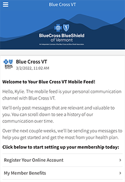 Blue Cross Vermont text messaging feed