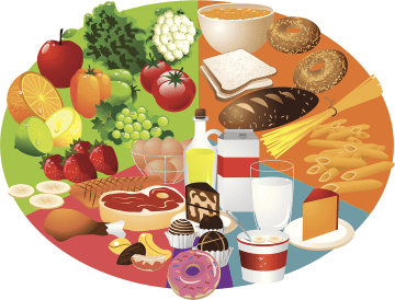 illustration of healthy foods and food groups
